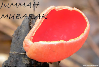 jumuah mubarak images