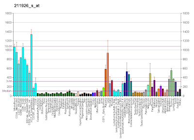 Gene expression pattern of the MYH9 gene