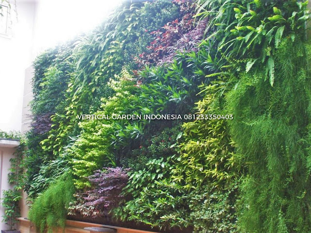 VERTICAL GARDEN INDONESIA SPESIALIS JASA PEMBUATAN VERTICAL GARDEN DI SERPONG DAN DI SELURUH WILAYAH SERPONG DENGAN TENAGA YANG PROFESIONAL DAN DAPAT DI PERCAYA YANG SELALU MENGUTAMAKAN SEBUAH MUTU DAN KUALITAS PEMASANGAN VERTICAL GARDEN/TAMAN DINDING, JASA TUKANG TAMAN VERTICAL SERPONG, JASA VERTICAL GARDEN SERPONG