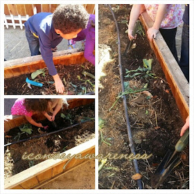 Convey Awareness | Montessori students preparing the compost