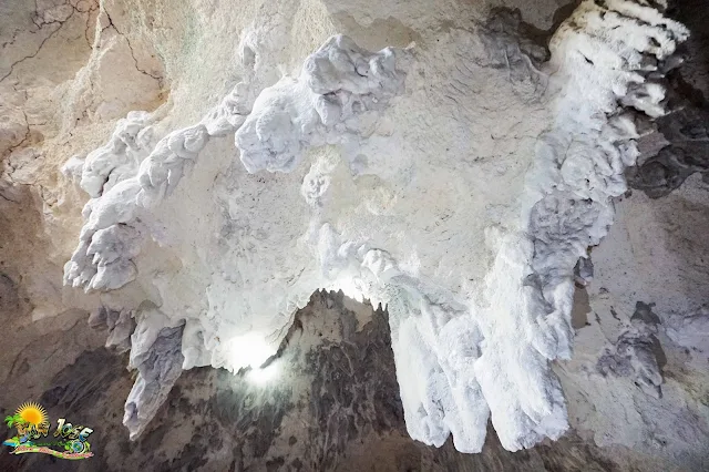 Catburan Cave owns exceptional beauty from rock formation until the rich and diverse flora and fauna inside and outside the cave