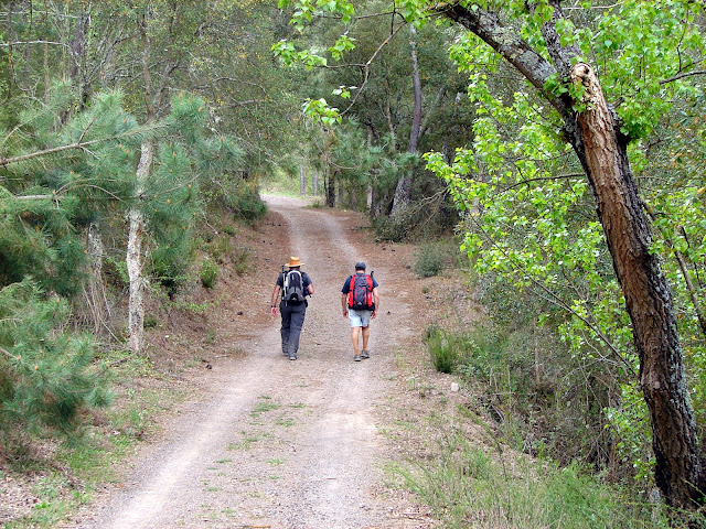 Senderismo - GR-36 Montanejos - Alcudia de Veo