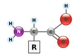 Unsur atom