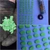 Droguri în valoare de circa 100 mii de lei, ridicate de polițiști din Cantemir