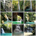 Southern Cebu's Cascading Delights: Best Waterfalls for Every Adventurer
