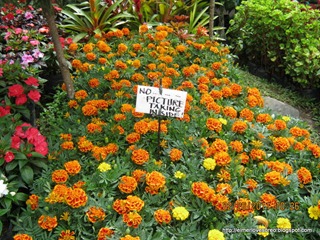 IMG_1797