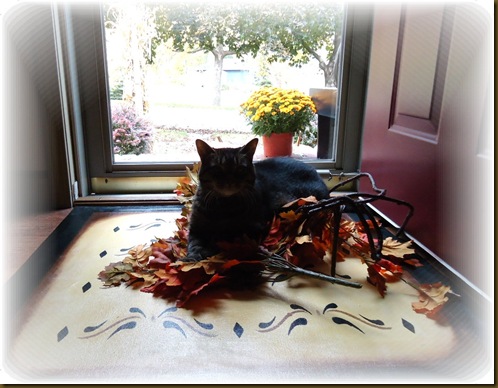 Baby in leaves