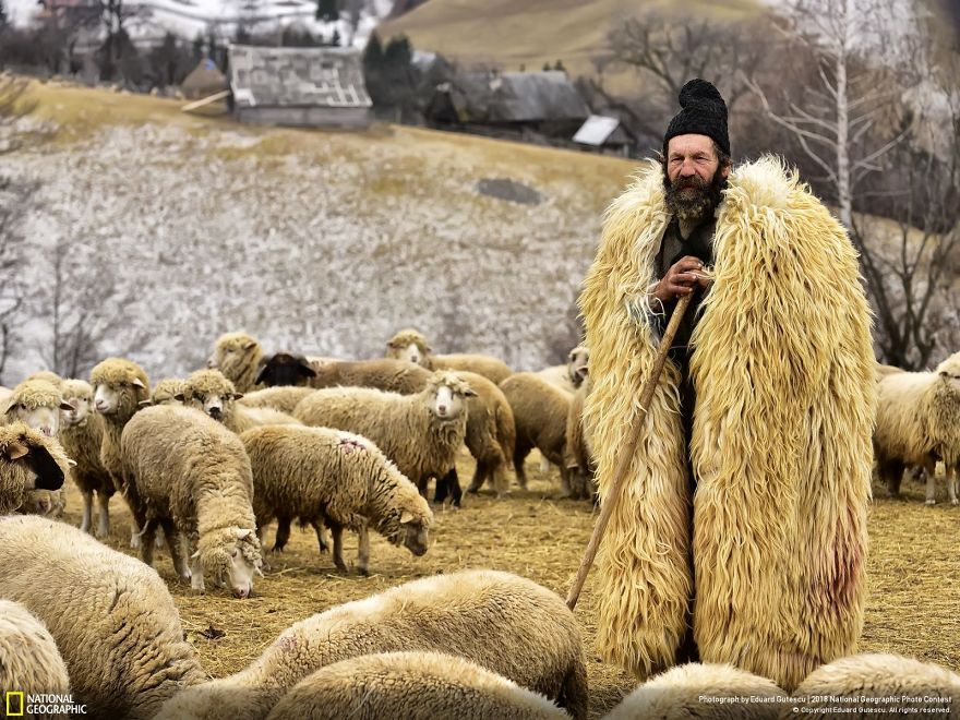 50 Breathtaking Photos Of 2018's National Geographic Photo Contest