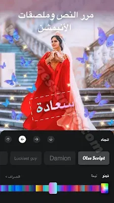 VideoShow Pro