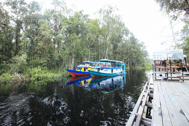 7-Cagar-Alam-Terbaik-di-Indonesia