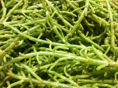 samphire