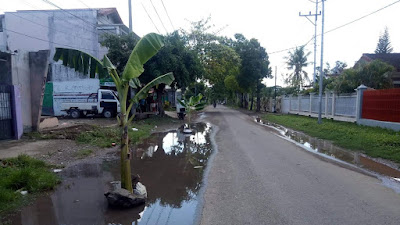 Jalan Menuju Kediaman Walikota Bima Digenangi Air, Warga Tanam Pohon Pisang 