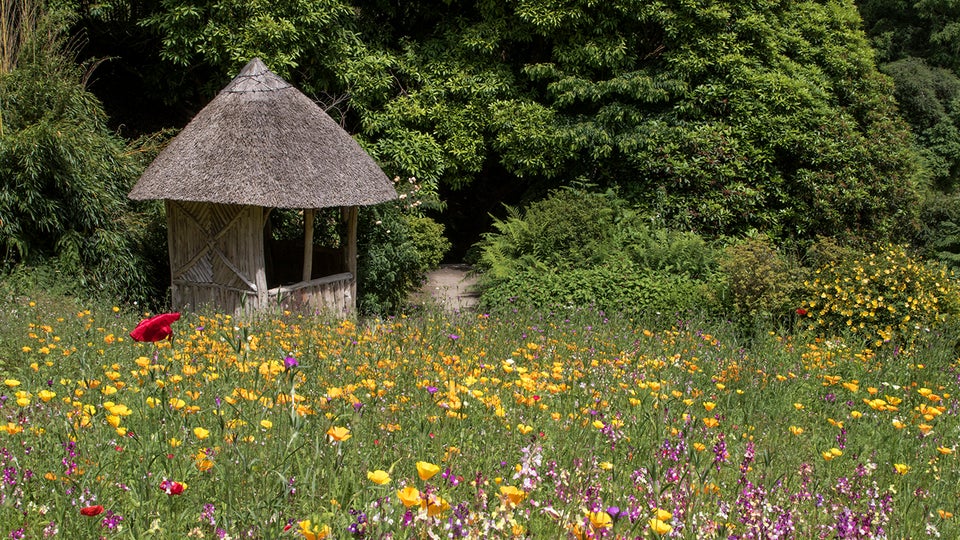 Cotehele gardens in the Summer