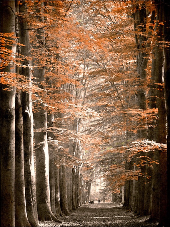 lars van de goor 333719
