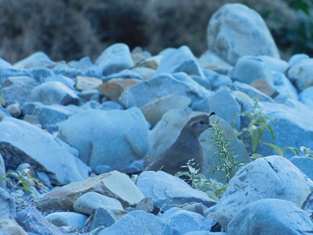 DSCN8857