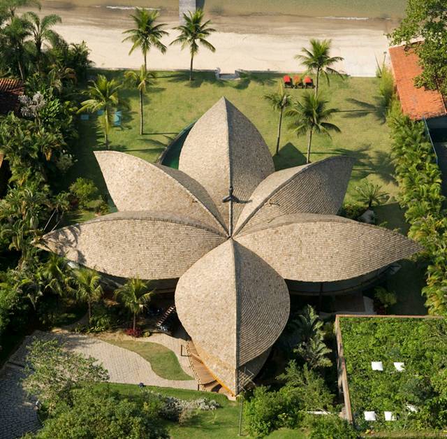 Leaf House - Flower from Brazilian Mareines