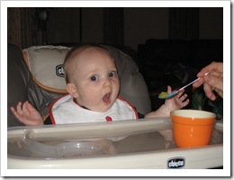 This picture was BEFORE he realized what was on the spoon.  He was not thrilled with the peas, but he ate a respectable amount. 10-20-09
