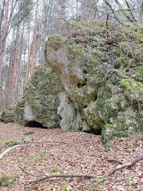 Leśne skałki