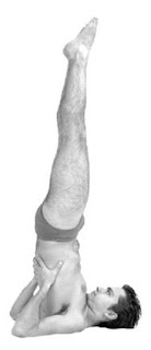 Sarvangasana or Shoulder Stand Pose