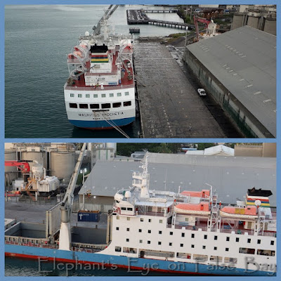 Mauritius Trochetia ferry