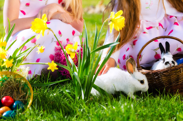 Two pet rabbits in the grass with daffodils, and two children behind