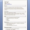 Resume Format Free Download In Ms Word 2007 / 39 Professional Ms Word Resume Templates Cv Design Formats / Note how various sections have been divided and important aspects highlighted.