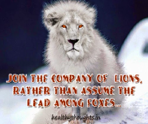 Join the company of Lions rather than assume the lead among Foxes