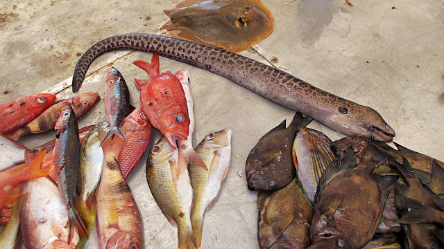 assorted fish at the public market of Guiuan Eastern Samar