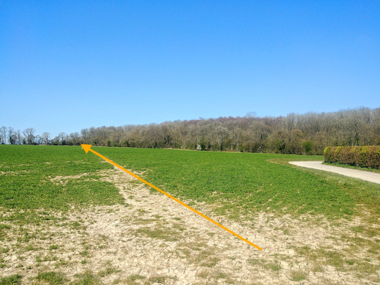 Braughing bridleway 8 heading NW across the crops