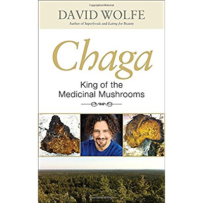 Download Chaga: King of the Medicinal Mushrooms PDF