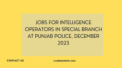 Jobs for Intelligence Operators in Special Branch at Punjab Police, December 2023