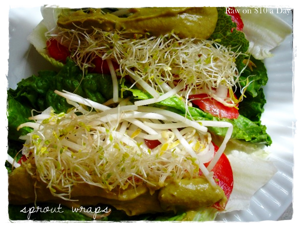 Download this Sprout Wraps Raw Food... picture