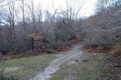 Caminos balizados