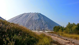 Succession on the phosphogypsum dump