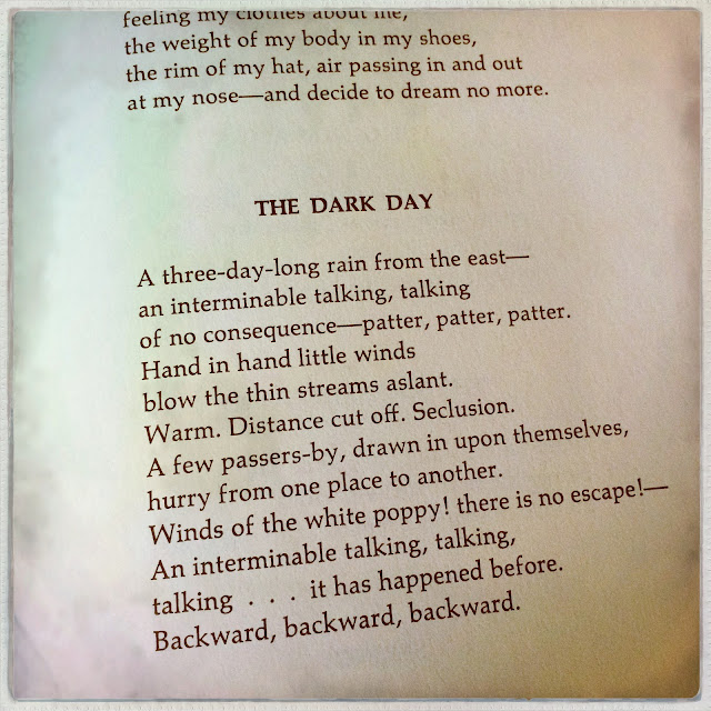 Gedicht 'The Dark Day' van William Carlos Williams