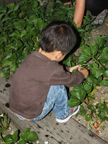 2011-05-12_209