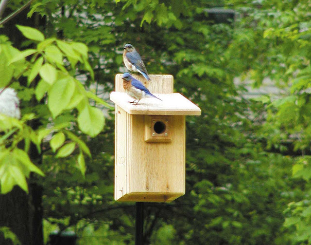 Octagon Birdhouse