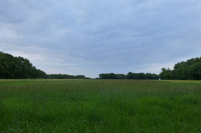 vue sur la campagne