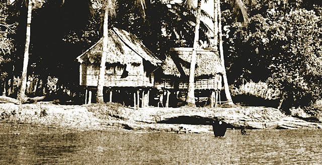 Houses near the Cotabato River