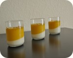 Mango - Vanilla Pannacotta 7