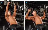 Dumbbell Bench Press