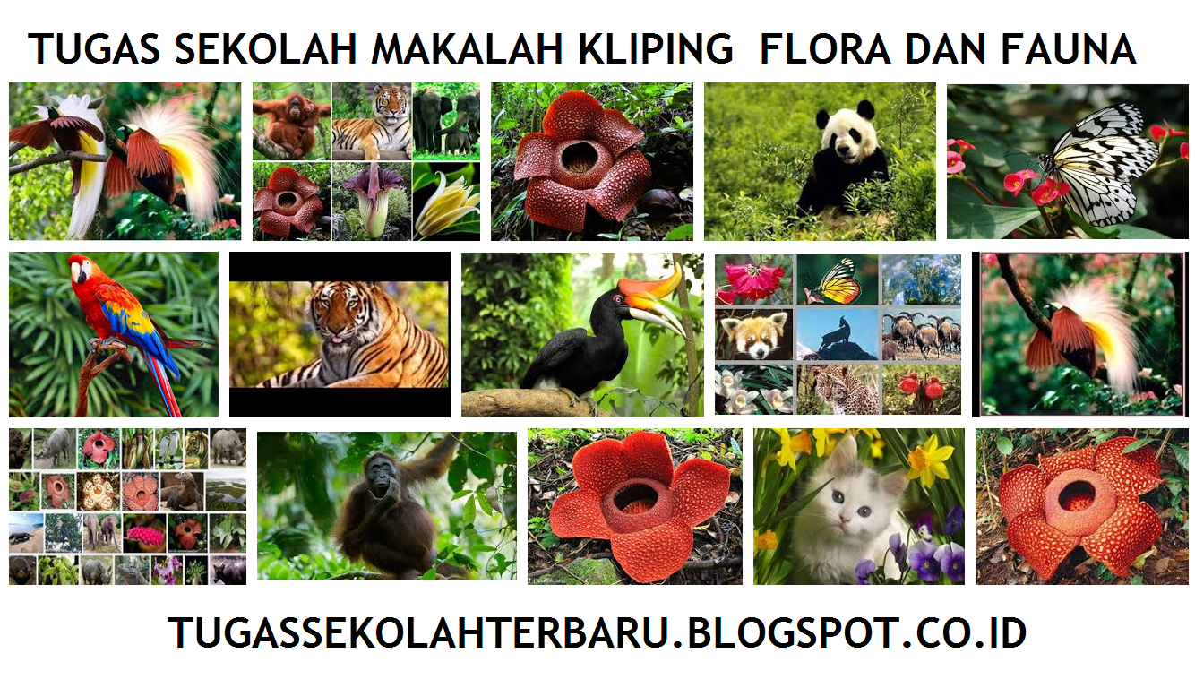 Tugas Sekolah Makalah Kliping Flora  dan  Fauna  Tugas Sekolah