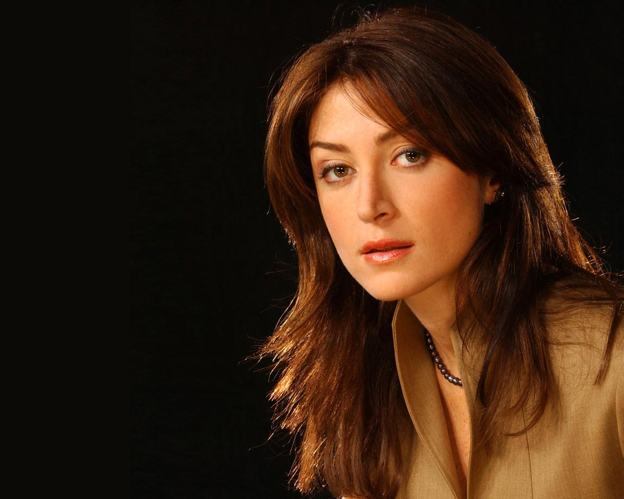 Download this Sasha Alexander Wallpaper picture