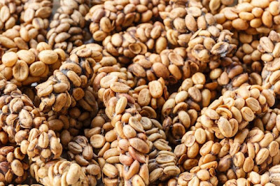 How To Make Kopi Luwak Coffee
