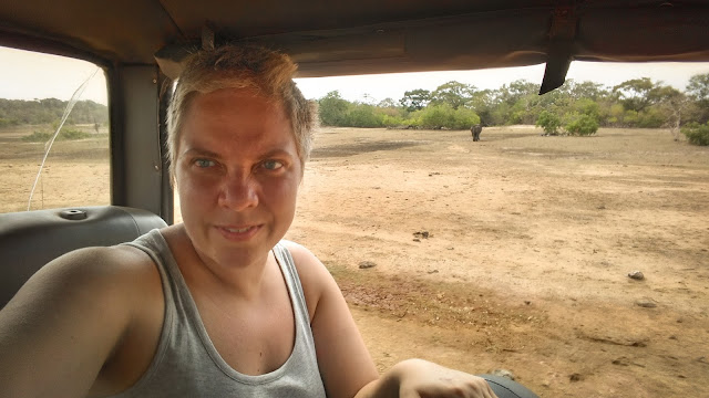 Another elephant; Yala National Park, Sri Lanka