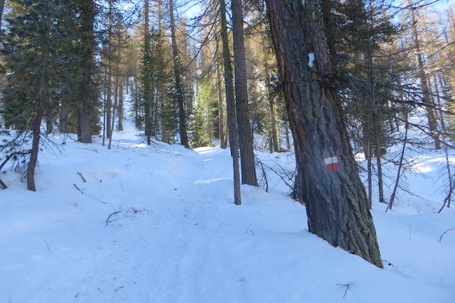 cinque torri averau nuvolau inverno ciaspole