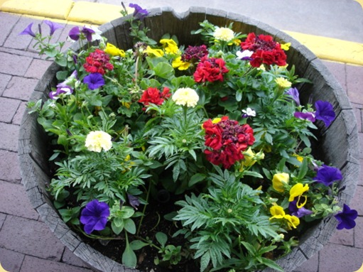 Downtown Durango 085