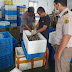 Kepiting Bakau Kepri Kembali Penuhi Pasar China