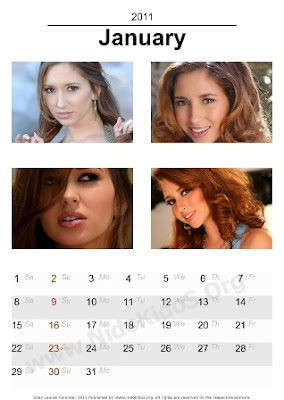 Shay Lauren Desktop Calendar 2011