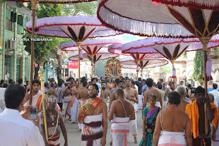 Ippasi Thirumoolam,Sattrumurai, Manavala Maamunigal,Purappadu,2016, Video, Divya Prabhandam,Triplicane,Thiruvallikeni,Utsavam,